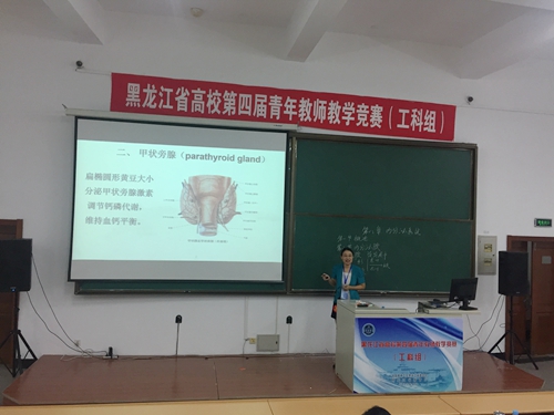 自然科学应用学科组三等奖获得者德赢张玉瑶老师在比赛中